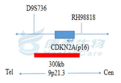 中国·拉斯维加斯(3499·官方认证)网站-Officialwebsite